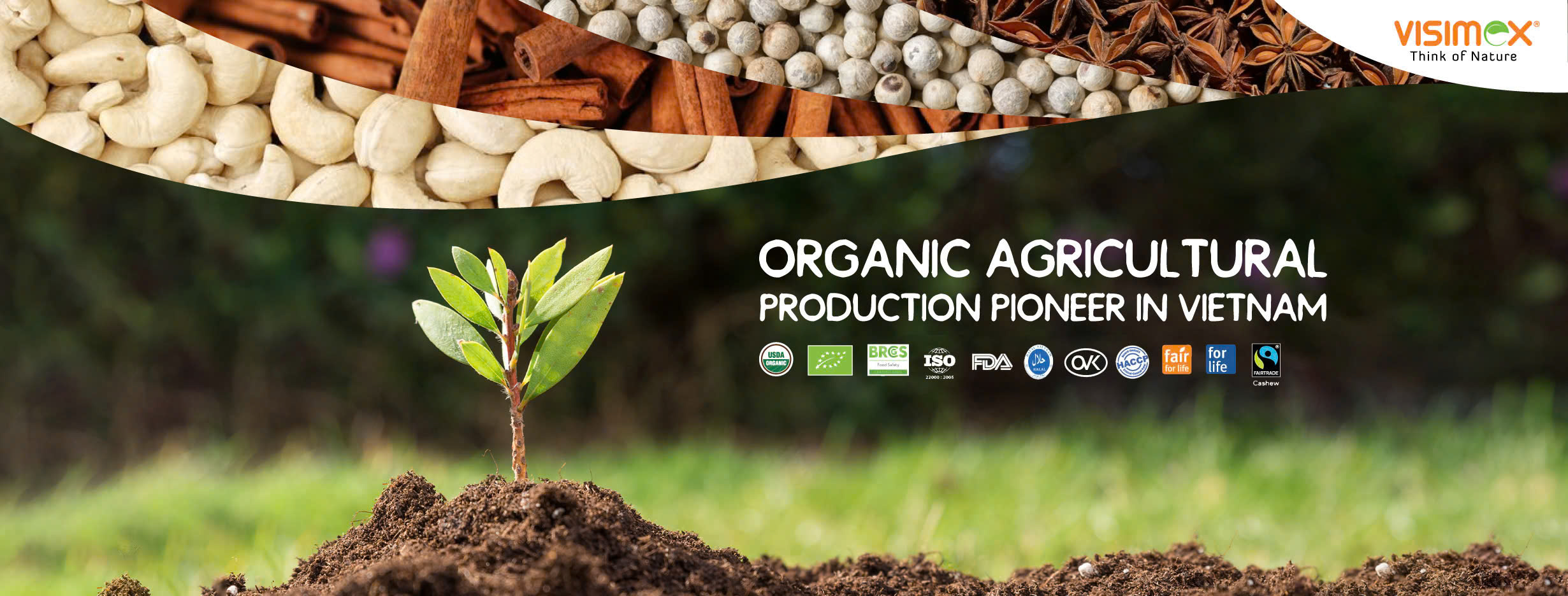 Cover image for Tập Đoàn Visimex