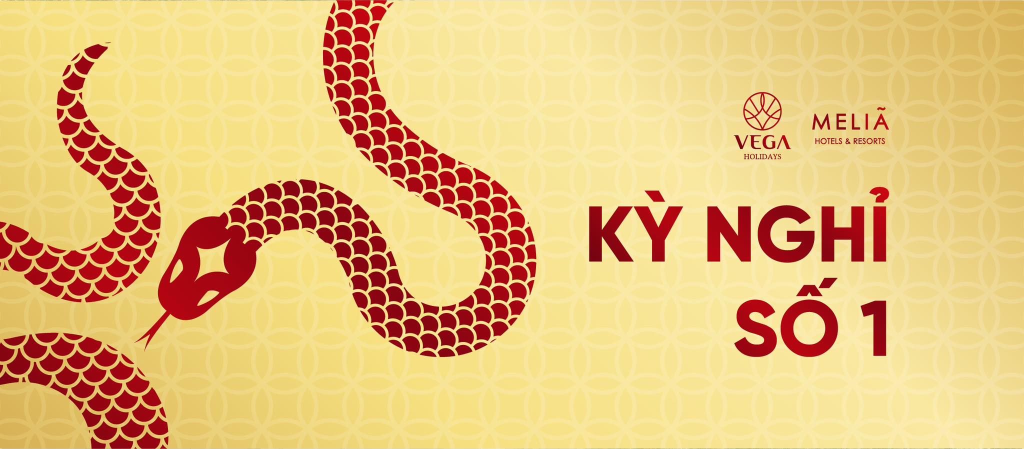 Cover image for Vega Holidays (VEGA HOLIDAYS., JSC)