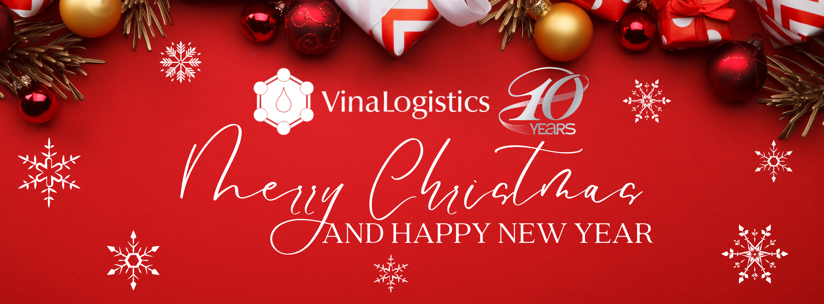 Cover image for Vina Logistics