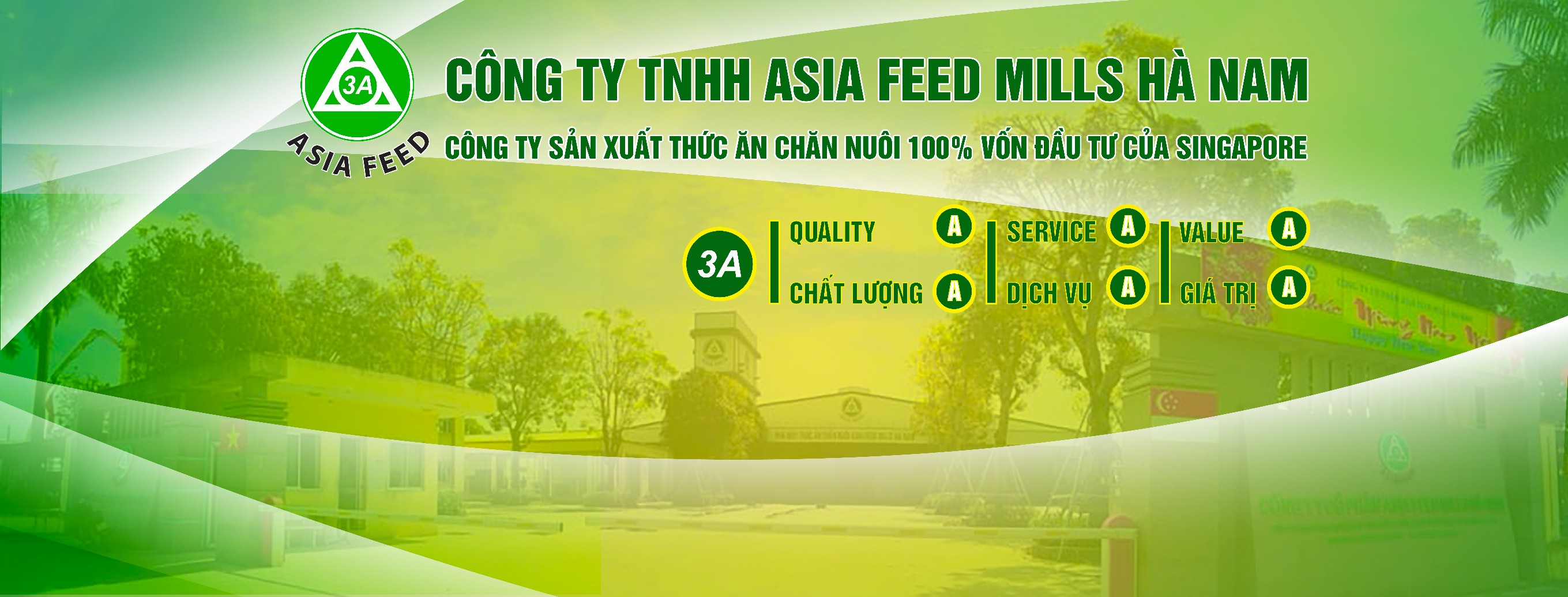 Cover image for Asia Feed Mills Hà Nam