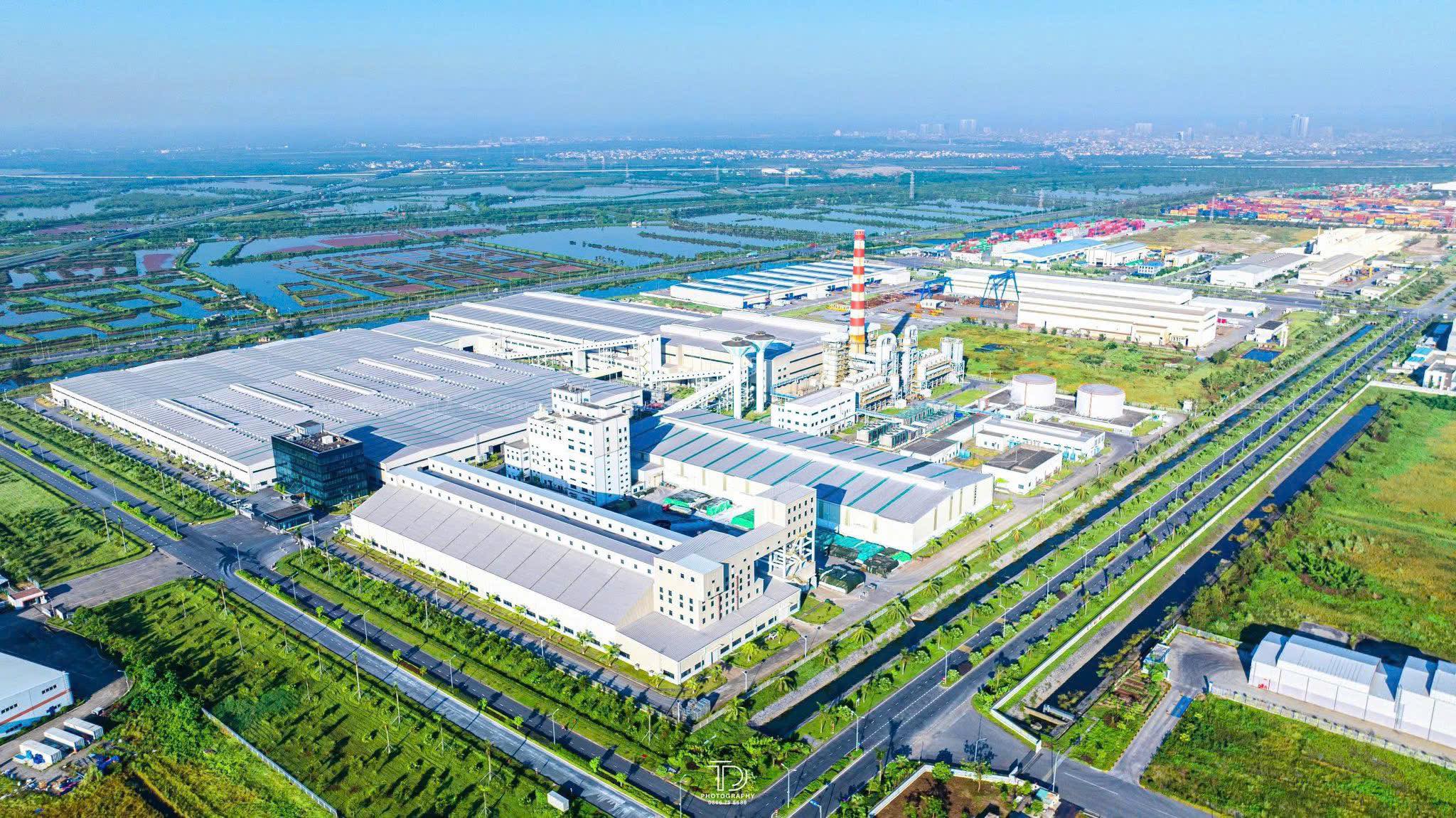 Cover image for Flat (Việt Nam)