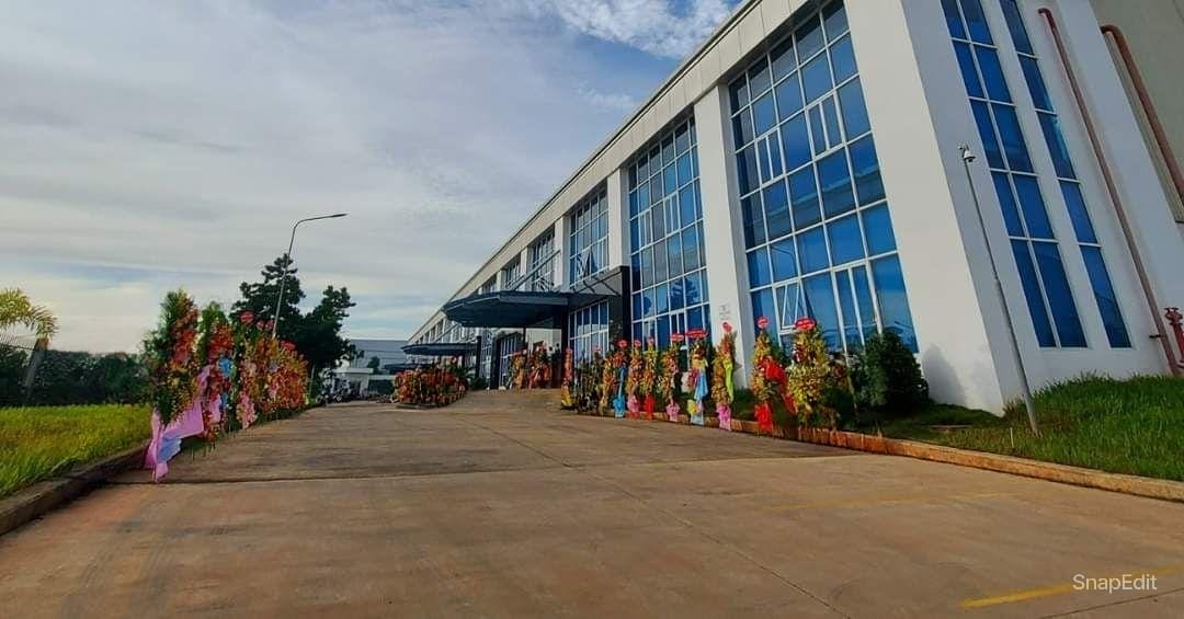 Cover image for CÔNG TY GIÀY HỒNG LỢI