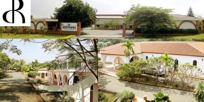 Cover image for MTV Jr France