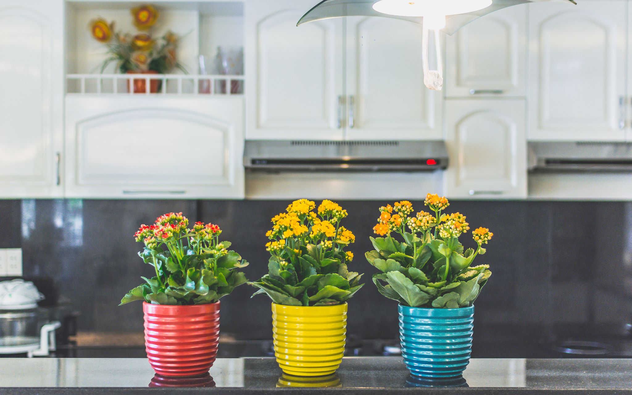 Cover image for Gốm Mỹ Nghệ Long Trường