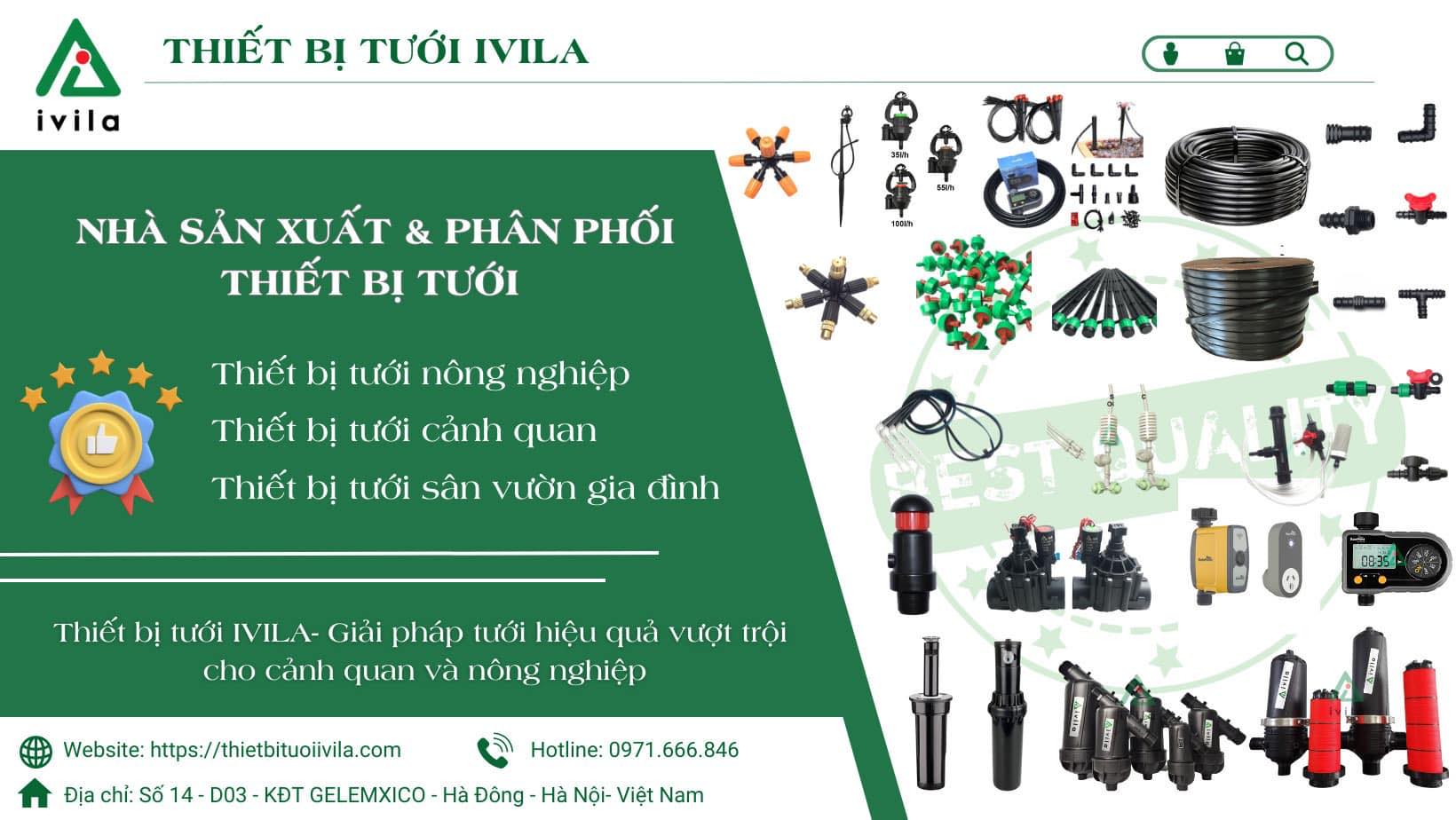 Cover image for IVILA