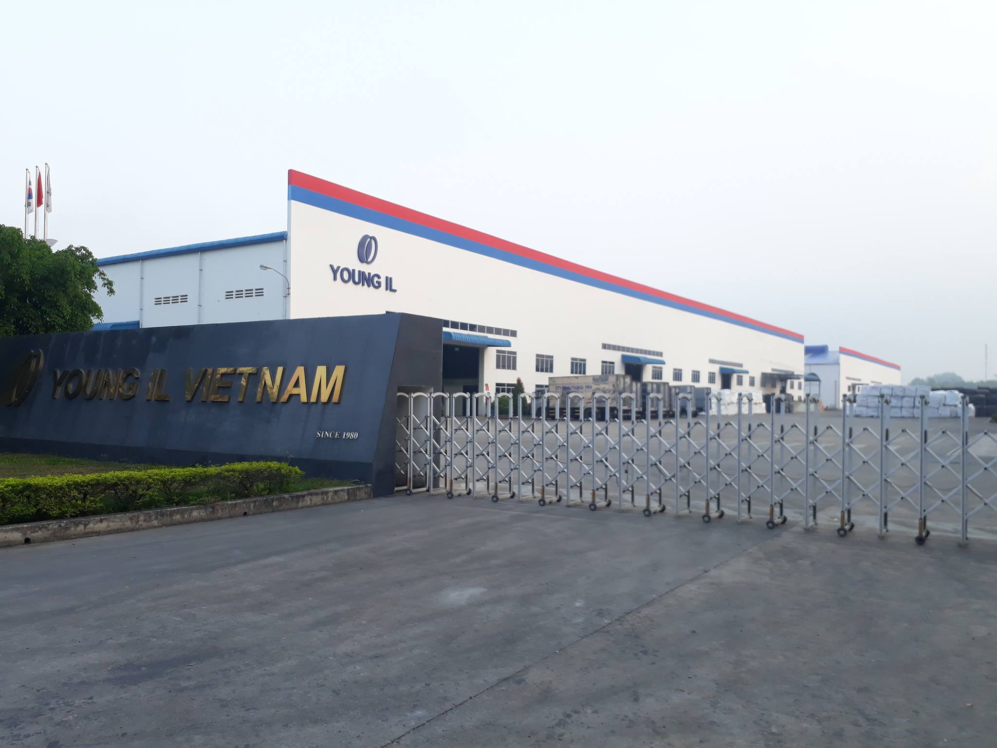 Cover image for Young IL Việt Nam