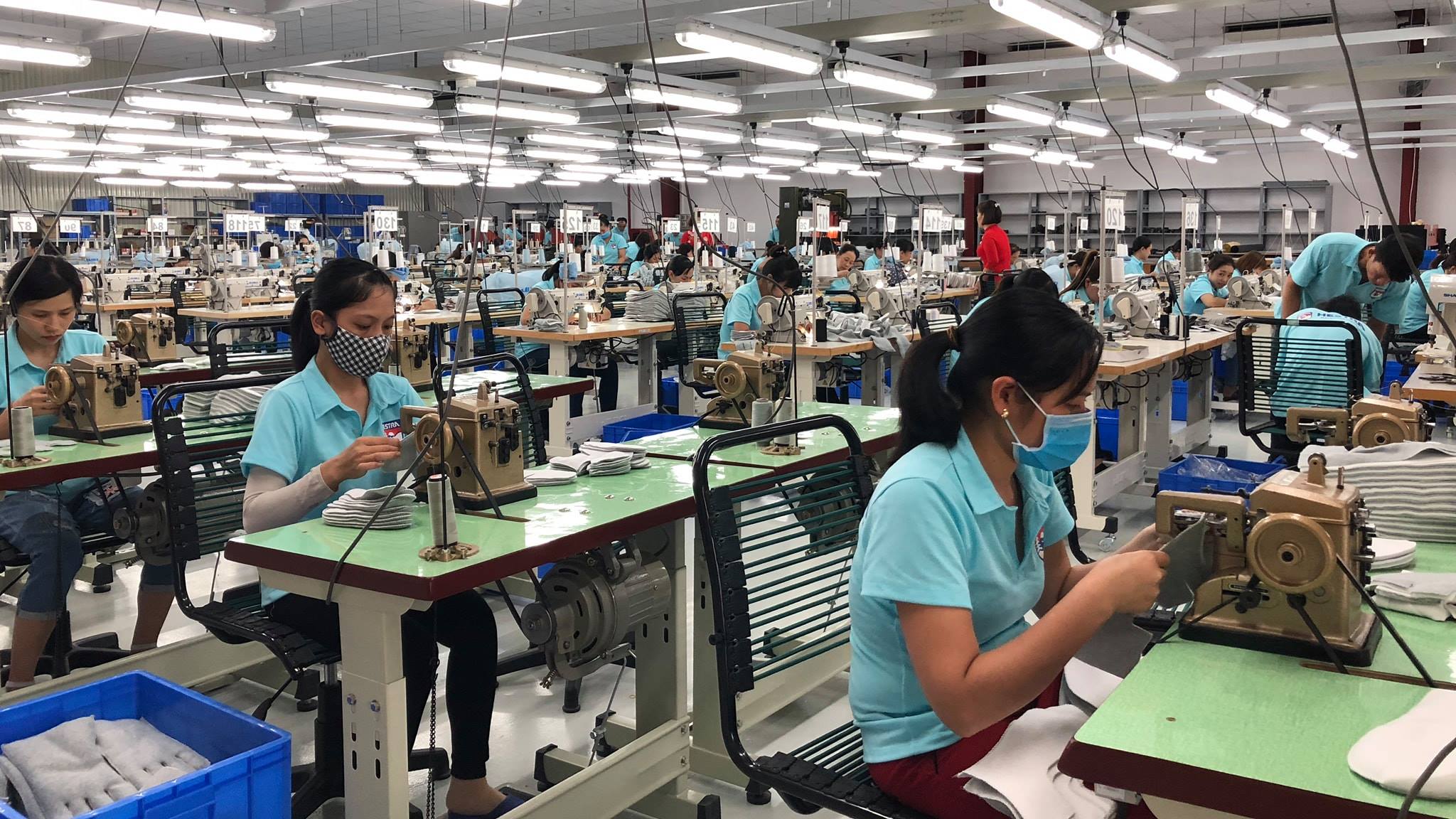 Cover image for Hestra Matsuoka