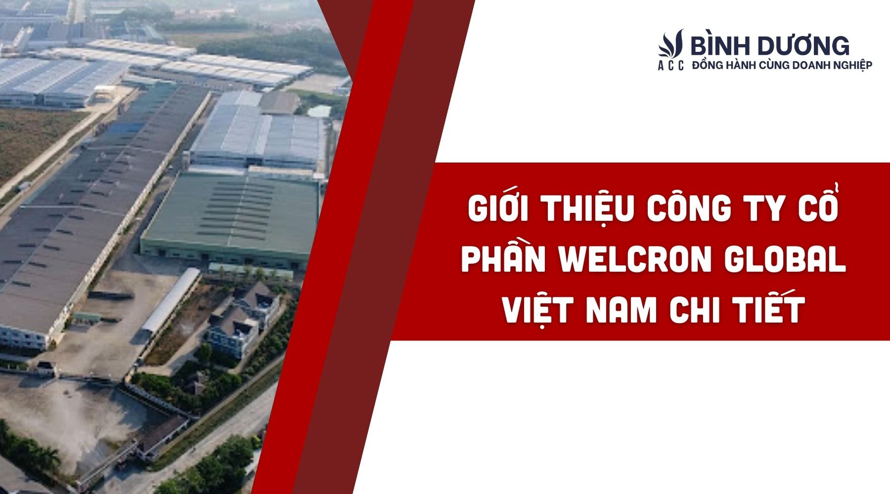 Cover image for Welcron Global Vietnam