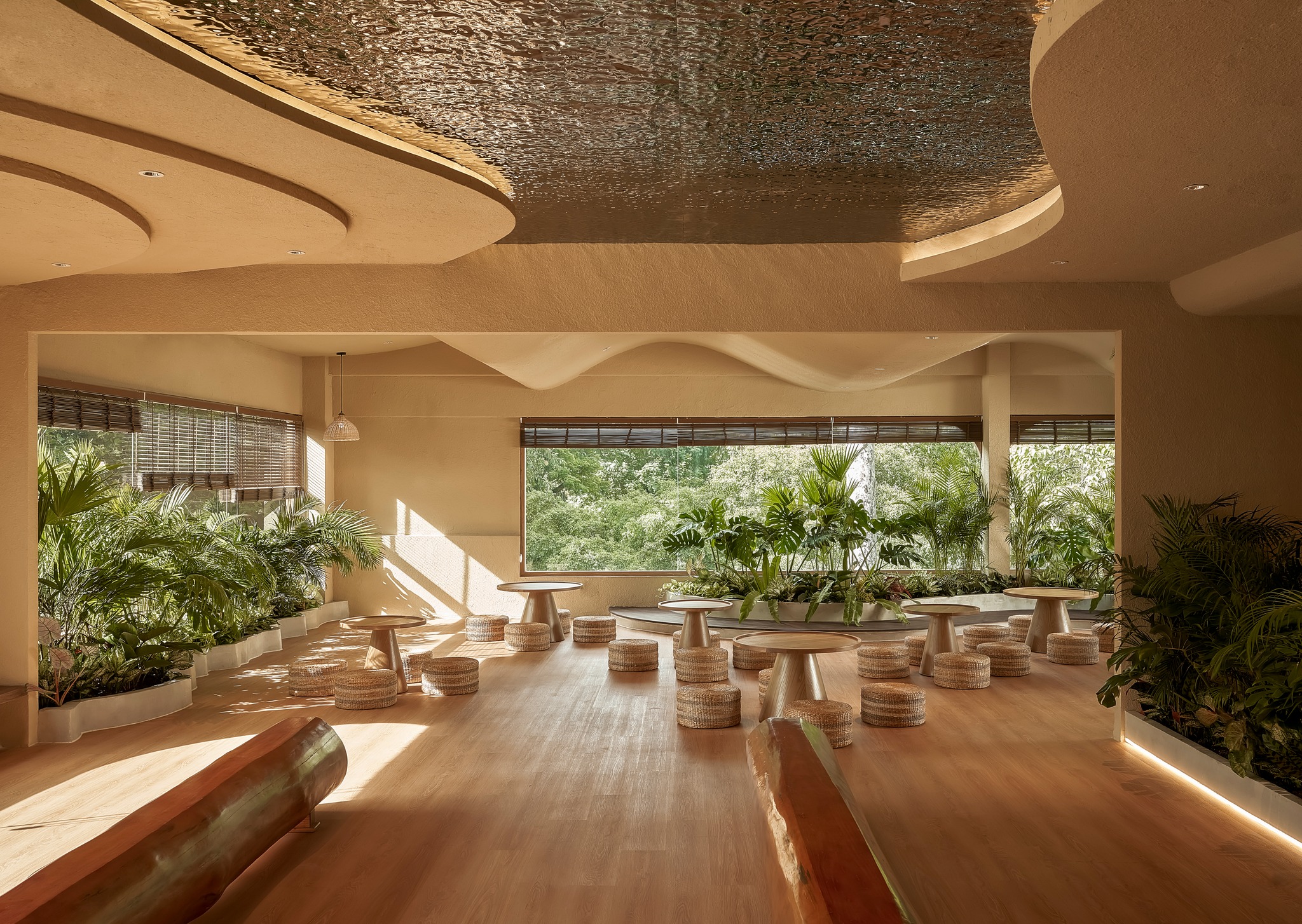 Cover image for THE SPARADISE