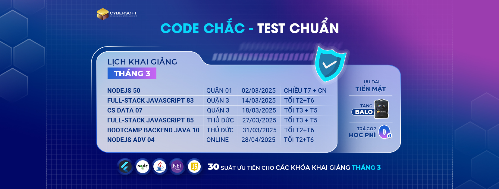 Cover image for CYBERSOFT