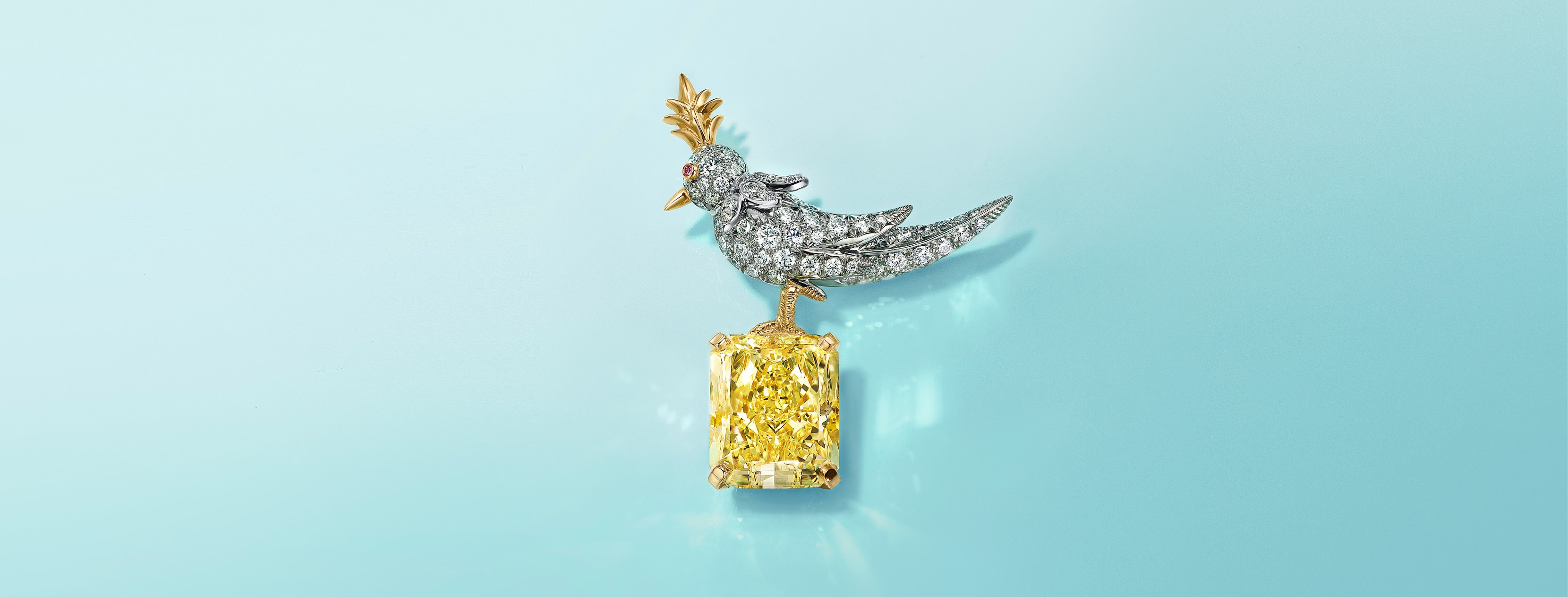 Cover image for Tiffany & Co.