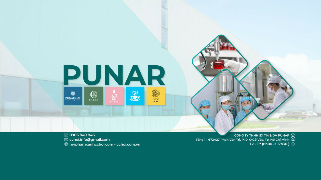 Cover image for PUNAR