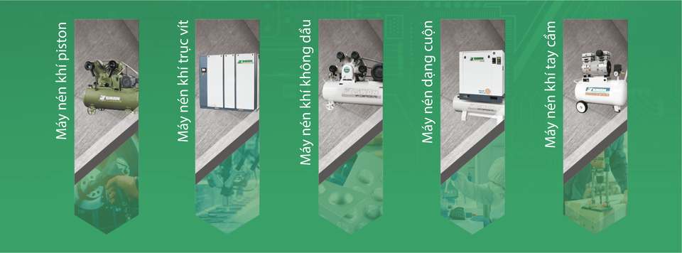 Cover image for Swan