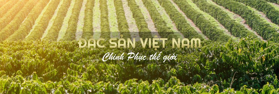 Cover image for Sai Gon True Coffee