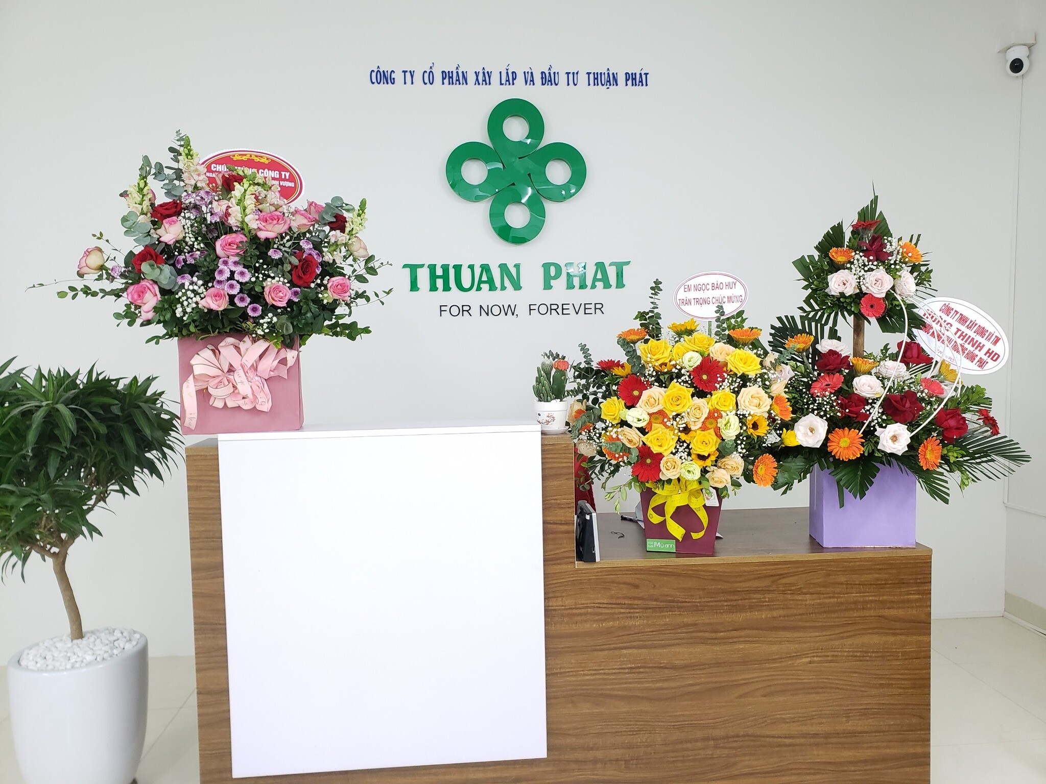 Cover image for CÔNG TY CỔ PHẦN XÂY LẮP VÀ ĐẦU TƯ THUẬN PHÁT