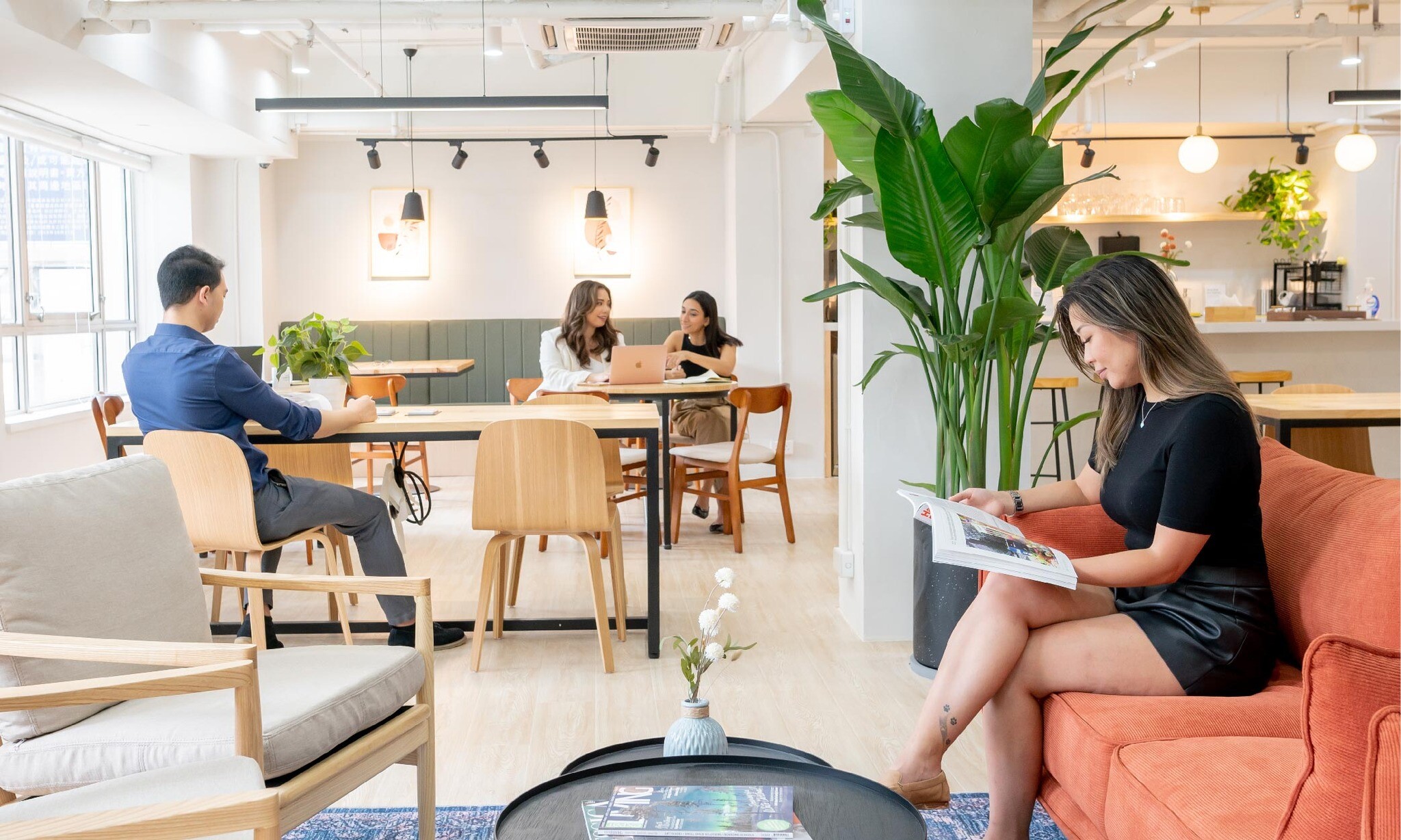 Cover image for the Hive Hong Kong