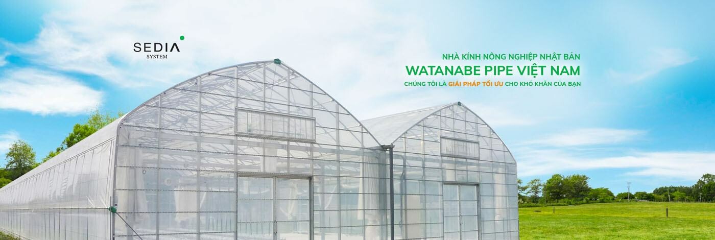 Cover image for Watanabe Pipe Việt Nam