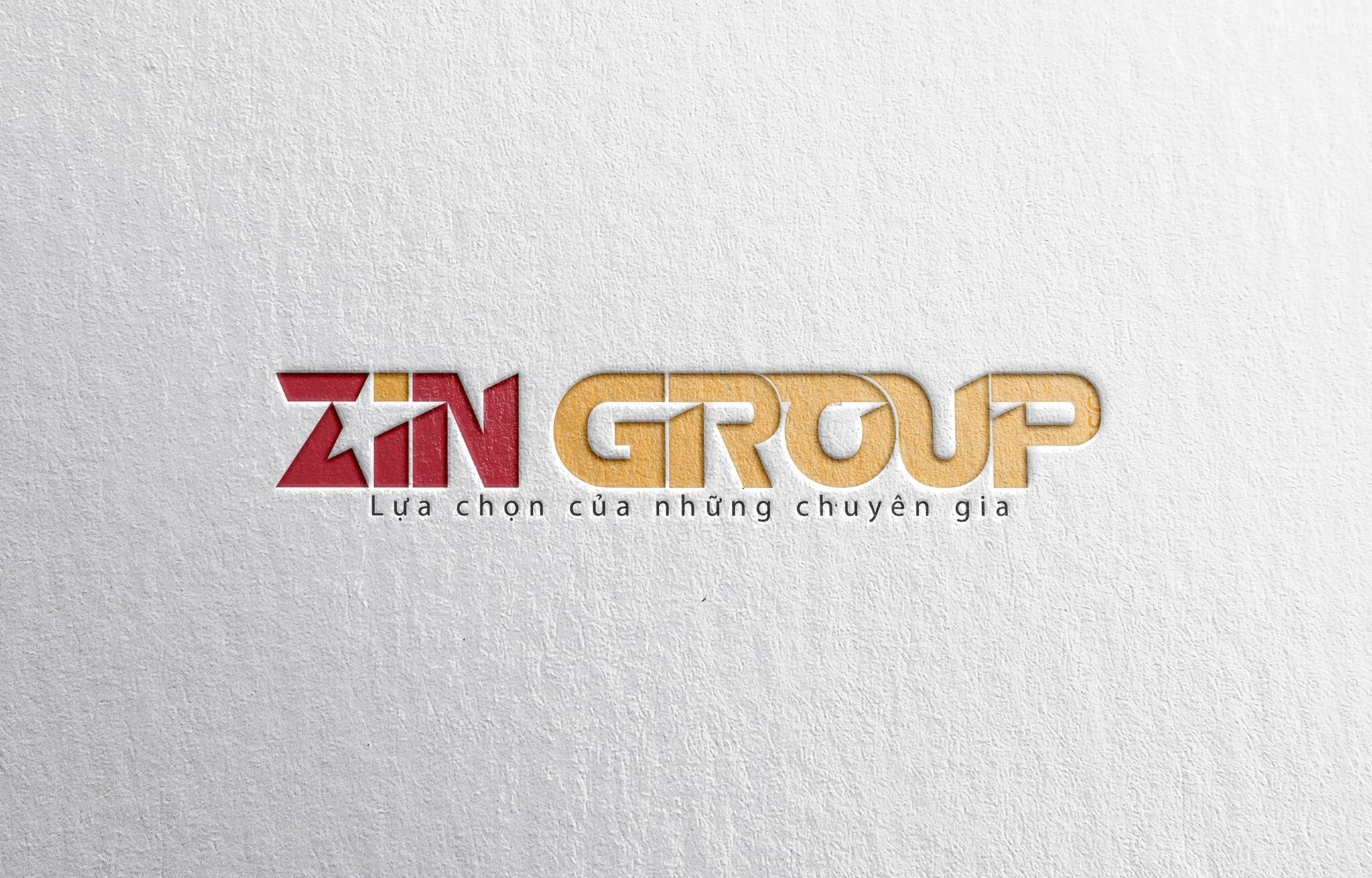 Cover image for Zin Group
