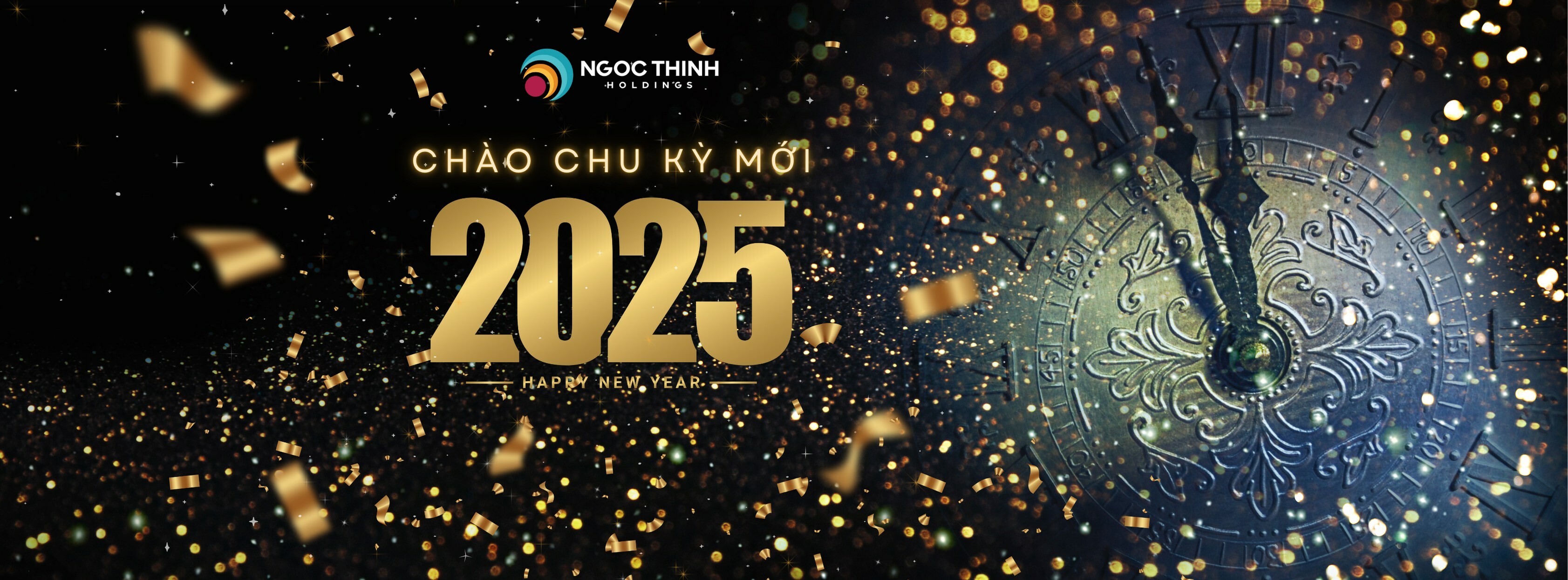 Cover image for Ngọc Thịnh Holdings