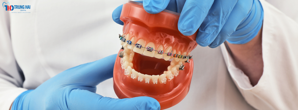 Cover image for Thiết Bị KHKT Trung Hải