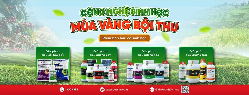 Cover image for CHẾ PHẨM SINH HỌC DASSHU NHẬT BẢN