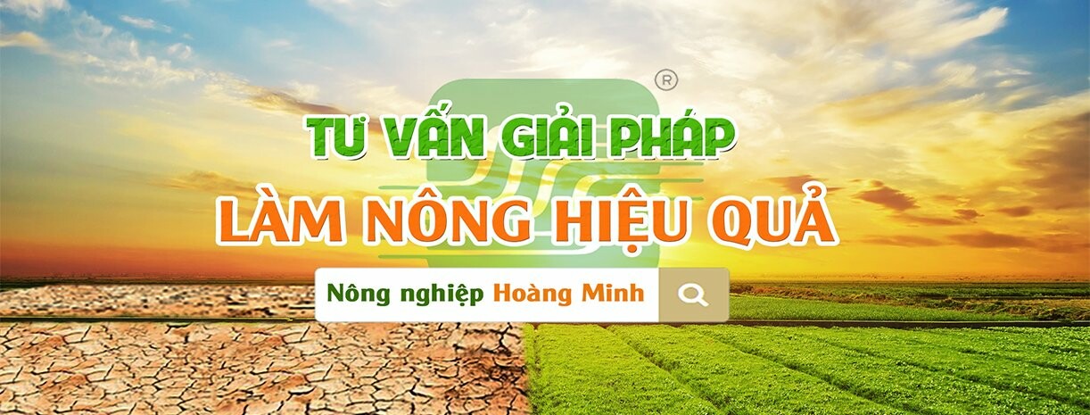 Cover image for NÔNG NGHIỆP HOÀNG MINH