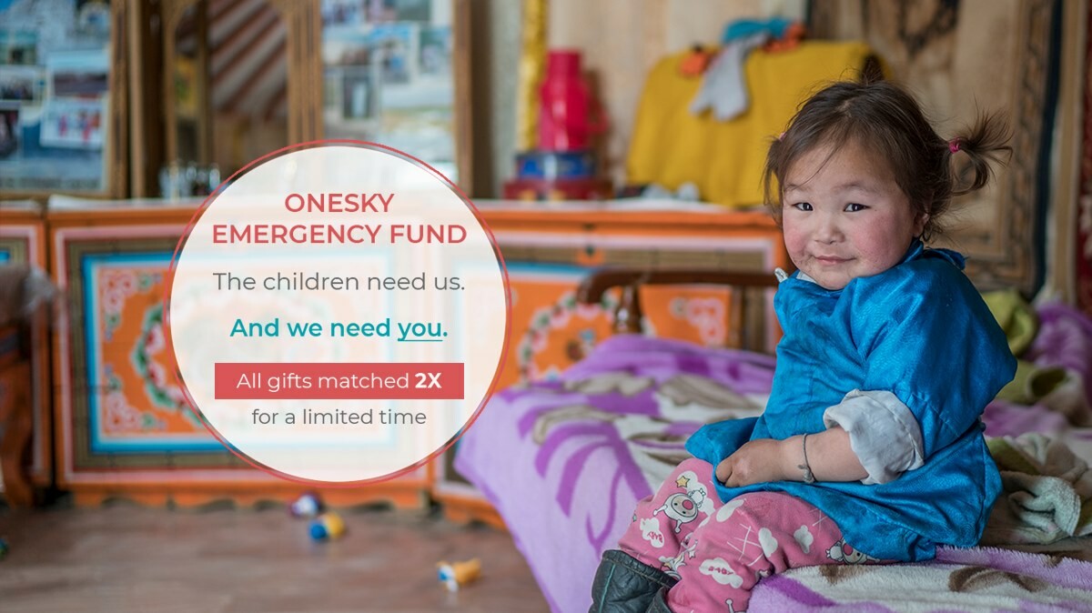 Cover image for Tổ Chức Onesky