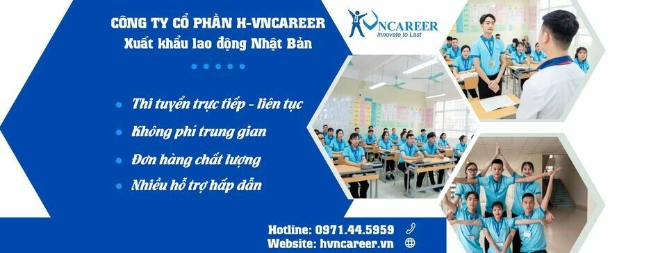 Cover image for VNCAREER