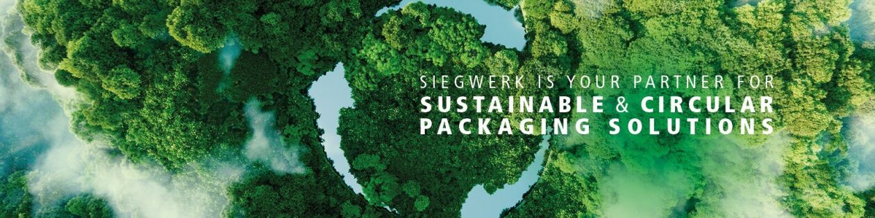 Cover image for Siegwerk Việt Nam