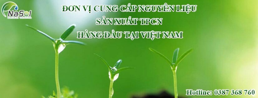 Cover image for Dược Phẩm Nasol