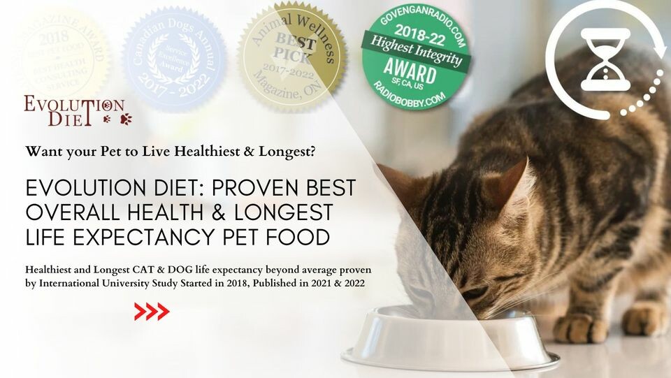 Cover image for Petfood Evolution