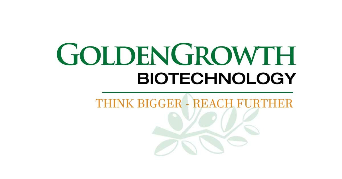 Cover image for Công Nghệ Sinh Học Kim Hòa Phát