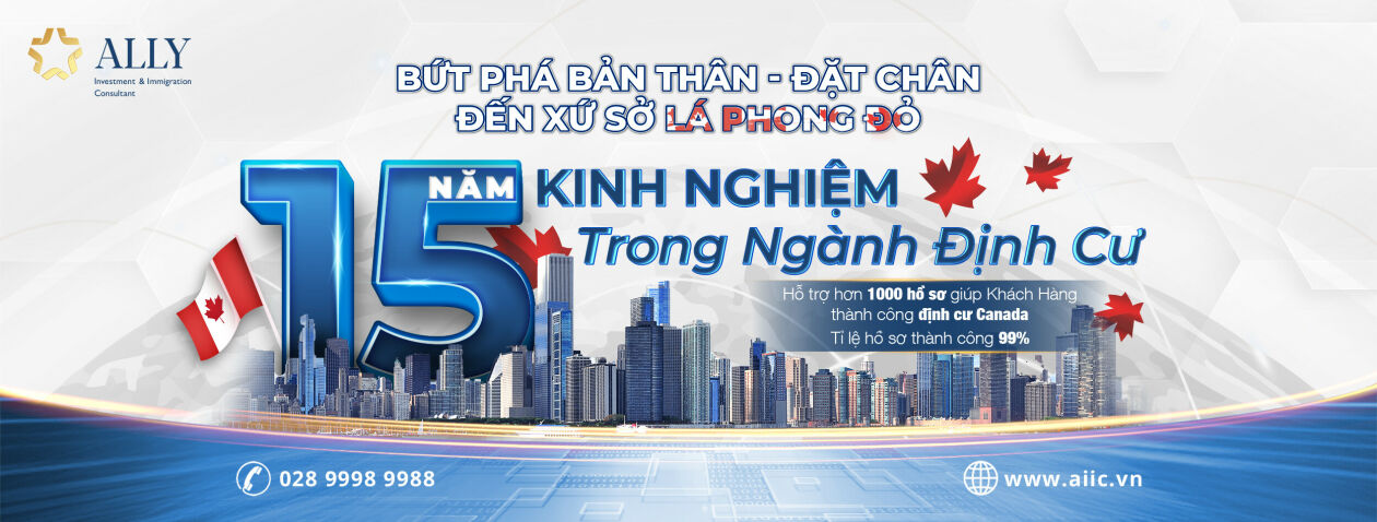 Cover image for ALLY