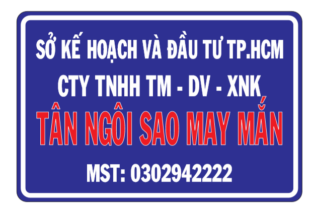 Cover image for TÂN NGÔI SAO MAY MẮN