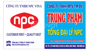 Cover image for NPC Vina