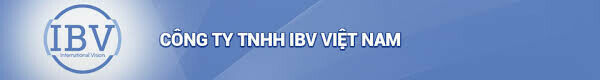 Cover image for IBV Vietnam