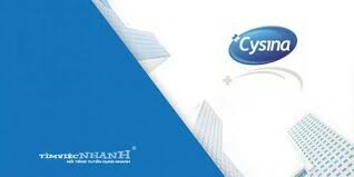 Cover image for Cysina Việt Pháp