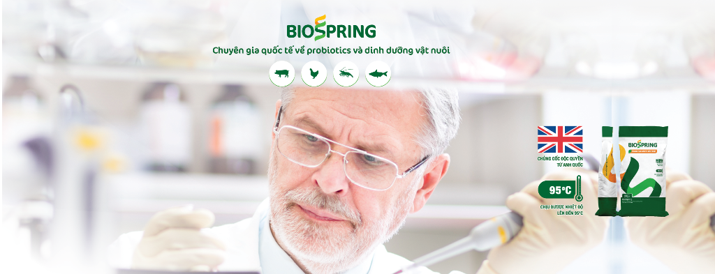 Cover image for Công Nghệ Sinh Học Mùa Xuân