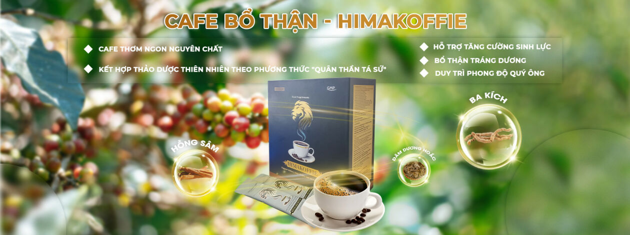 Cover image for DƯỢC PHẨM AN DƯỢC VIỆT