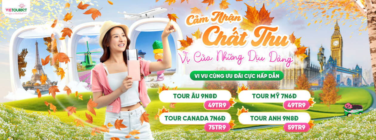 Cover image for CÔNG TY CỔ PHẦN VIETOURIST HOLDINGS