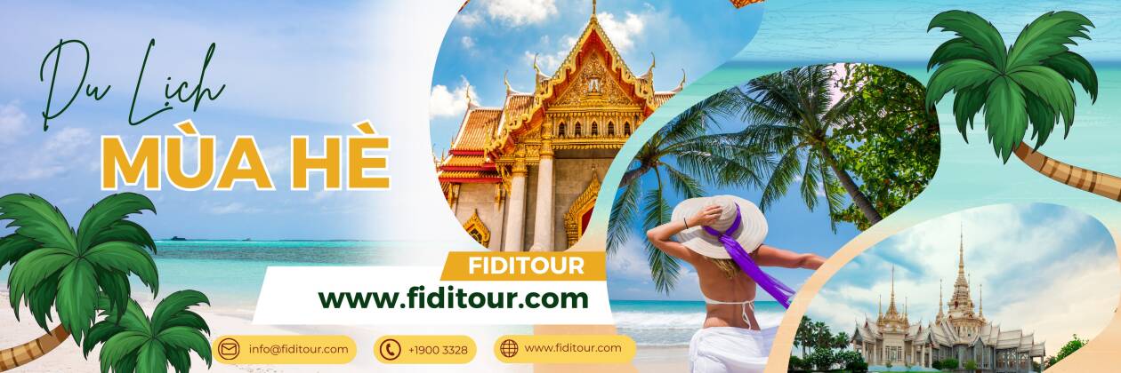 Cover image for Fiditour