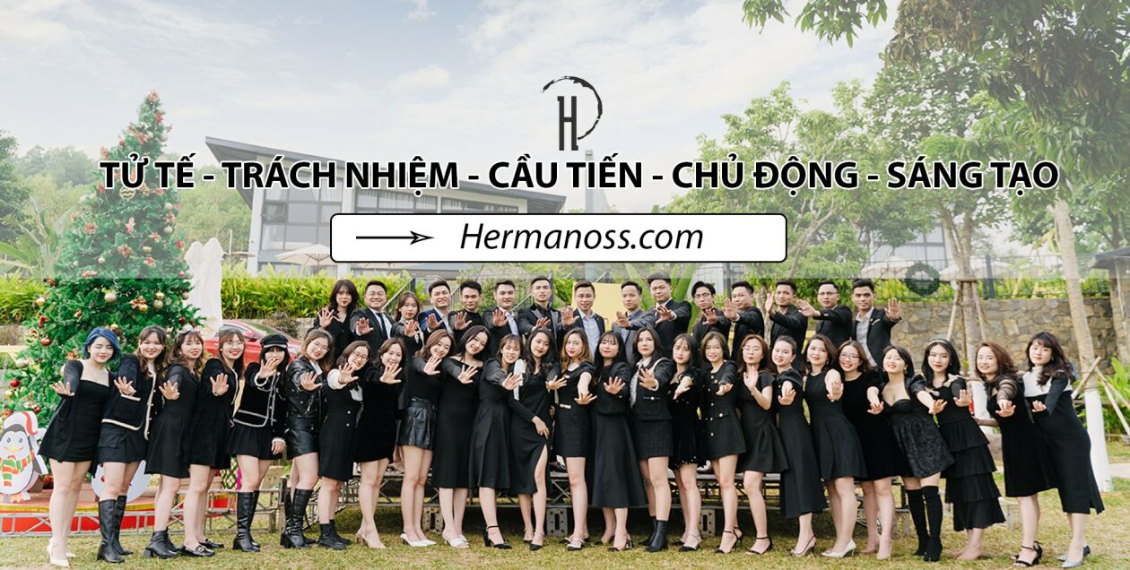 Cover image for HERMANOSS VIỆT NAM