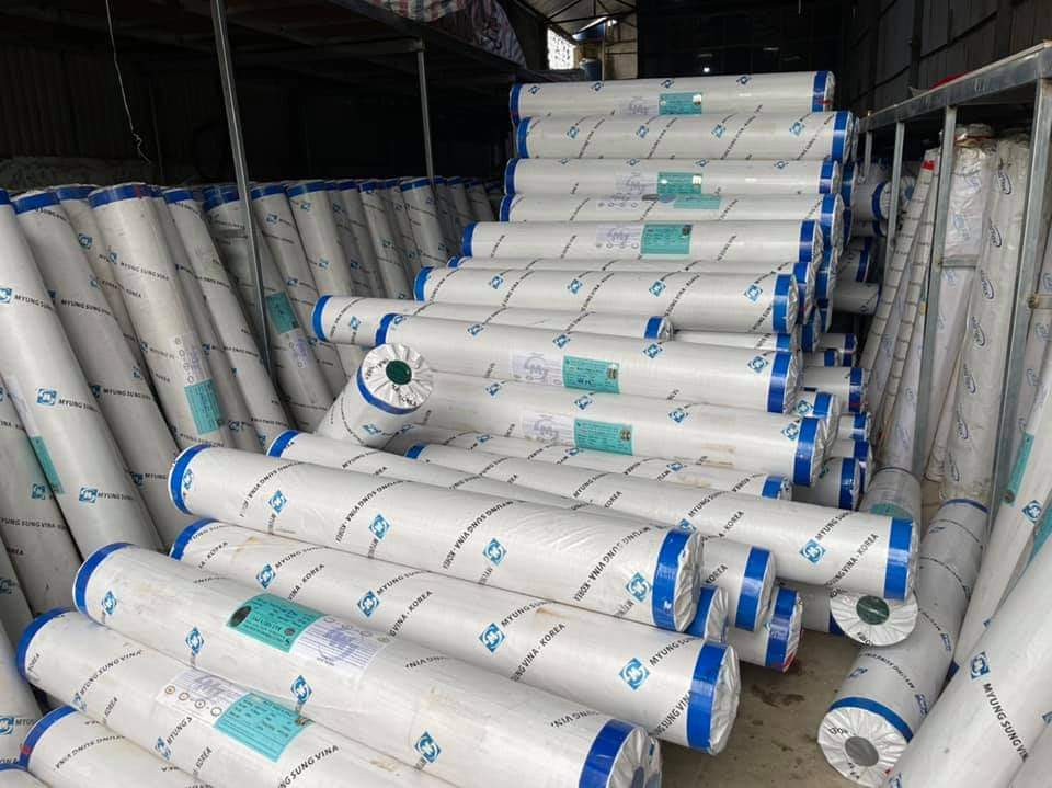 Cover image for Bạt Xinh