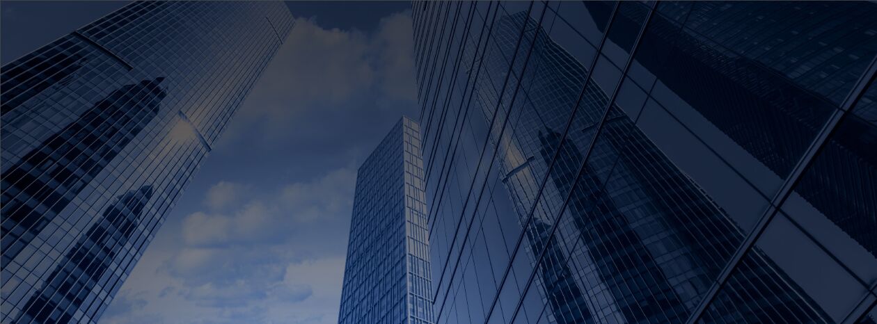 Cover image for DEZAN SHIRA