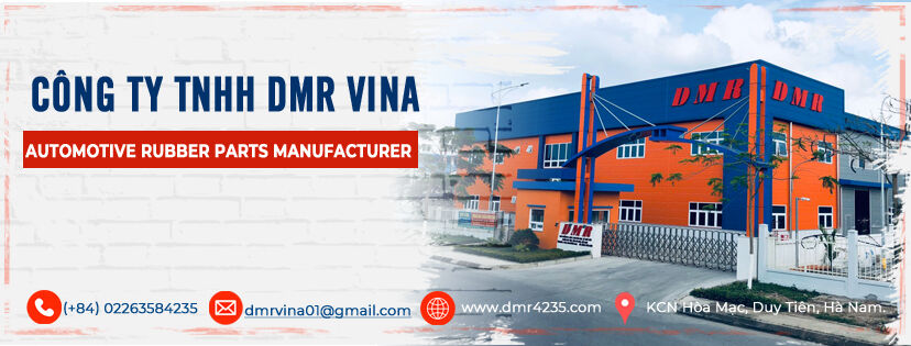 Cover image for DMR Vina