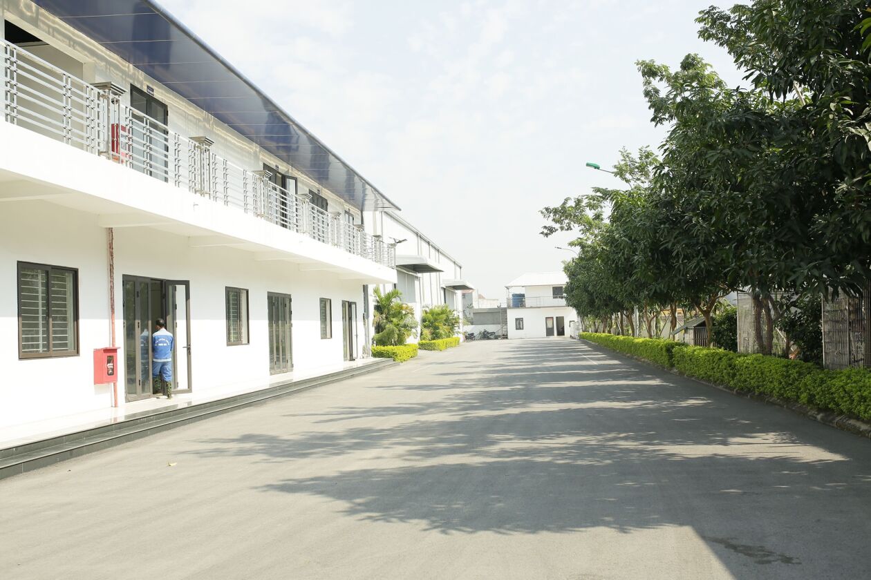 Cover image for Thái An