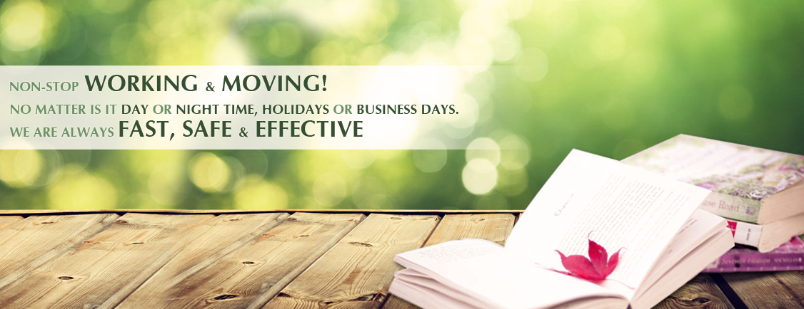 Cover image for KIM NGHĨA -KNG