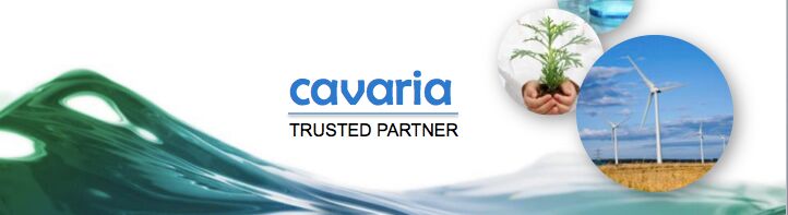 Cover image for CAVARIA VIỆT NAM