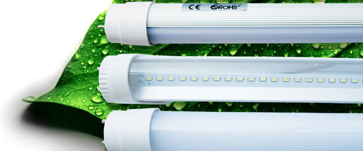 Cover image for NOA VIETNAM