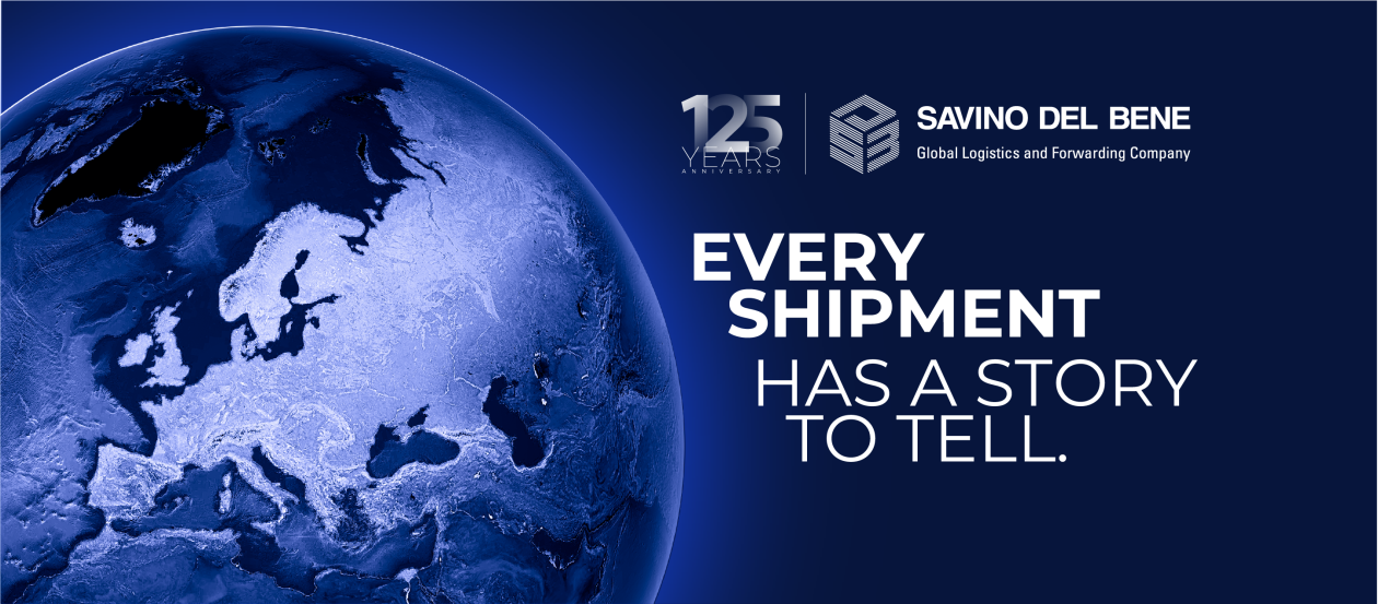 Cover image for SAVINO DEL BENE